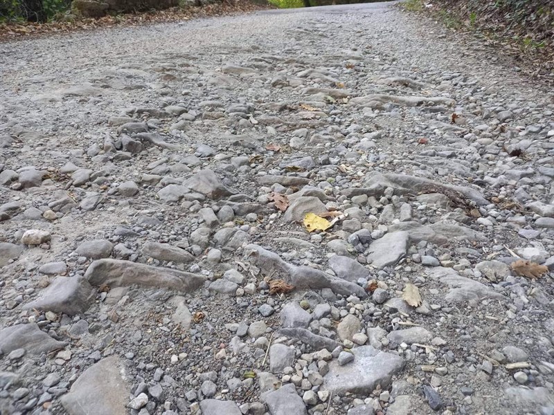 La strada comunale di Bricciana