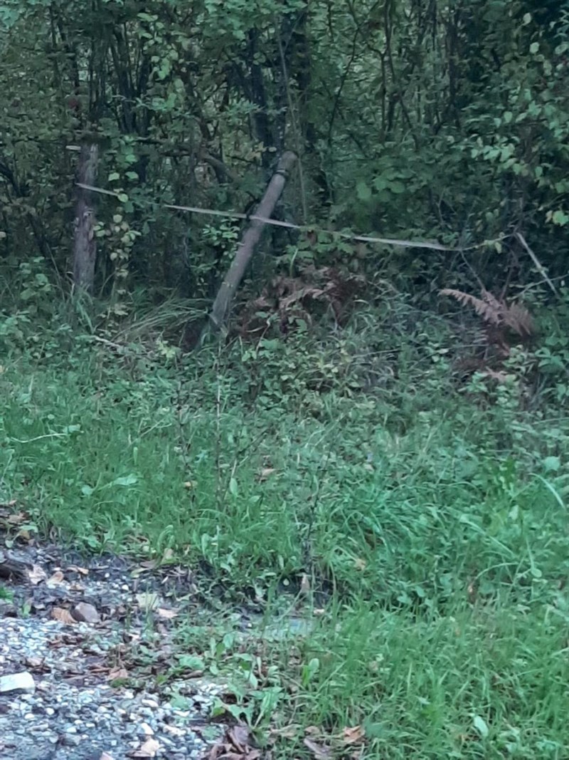 La strada comunale di Bricciana