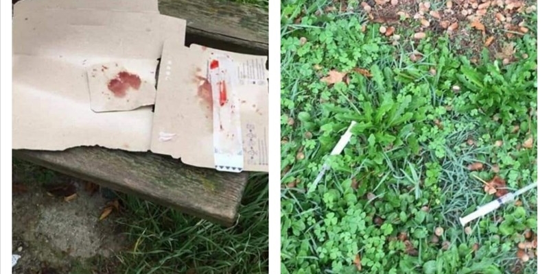 Le foto diffuse da Cambiamo Insieme