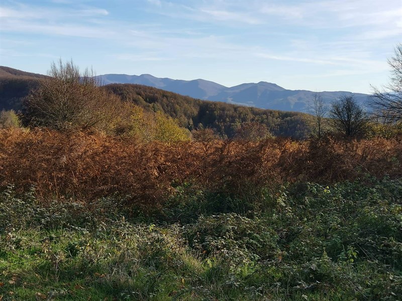 Le foto dell’iniziativa