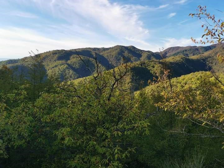 Le foto dell’iniziativa