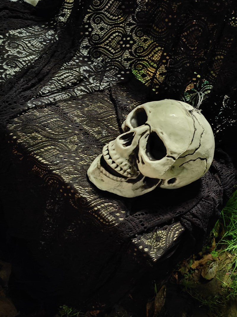 La passeggiata nel parco dei misteri