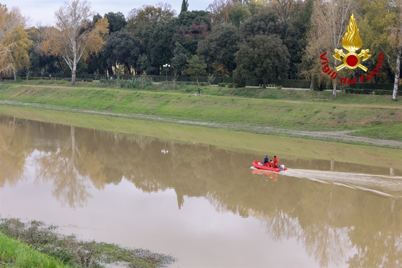 Le ricerche