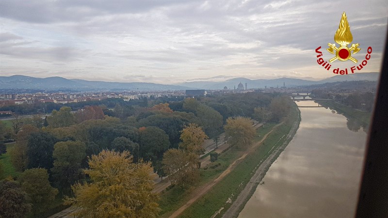Le ricerche
