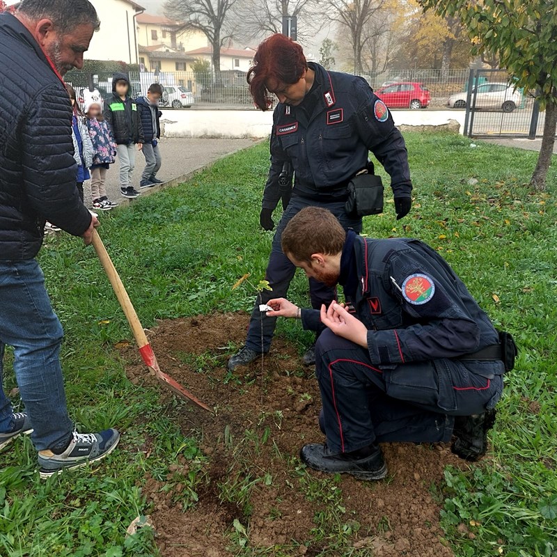 Momenti della giornata