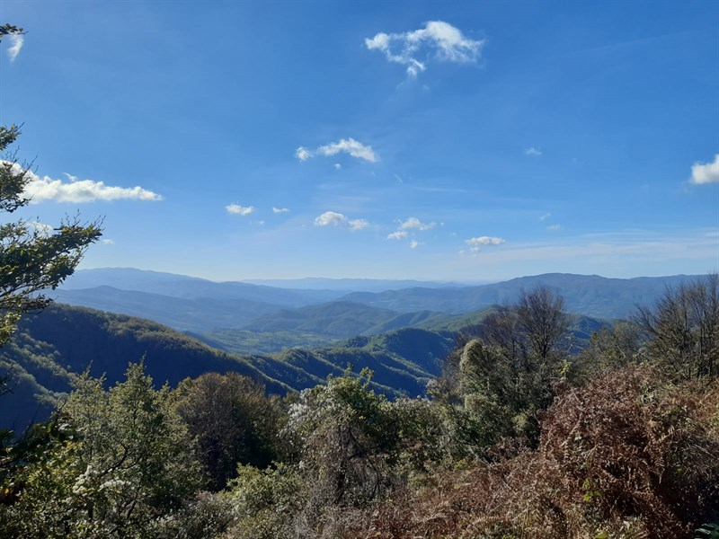 Le foto dell’iniziativa