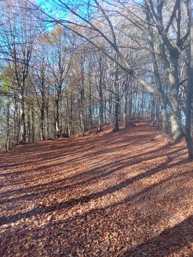 Le foto dell’iniziativa