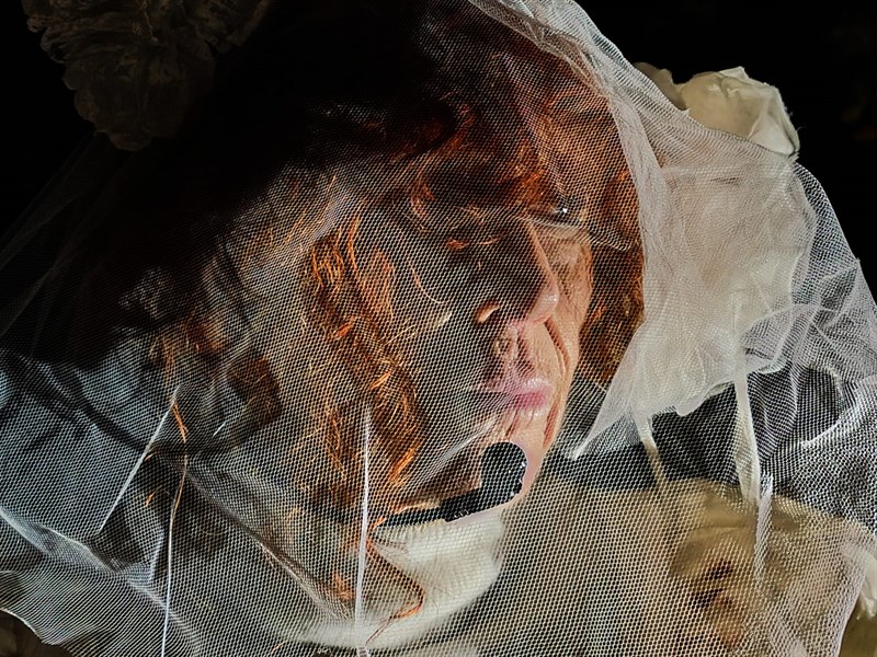 La passeggiata nel parco dei misteri