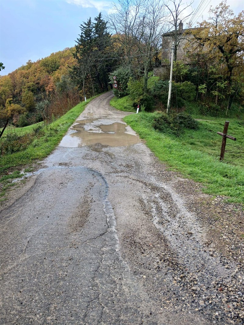 La strada in questione