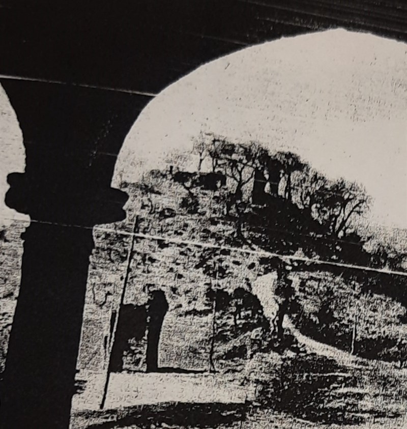 Il poggio di Finocchieto