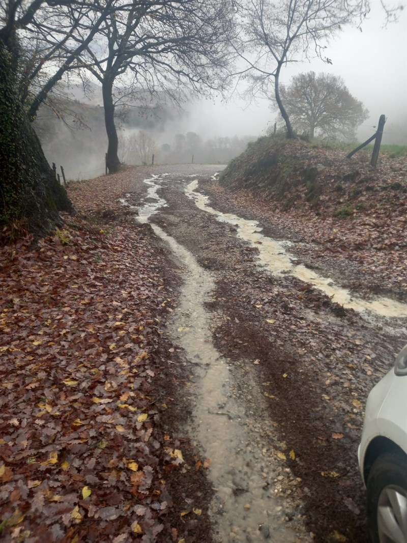 La strada di Bricciana