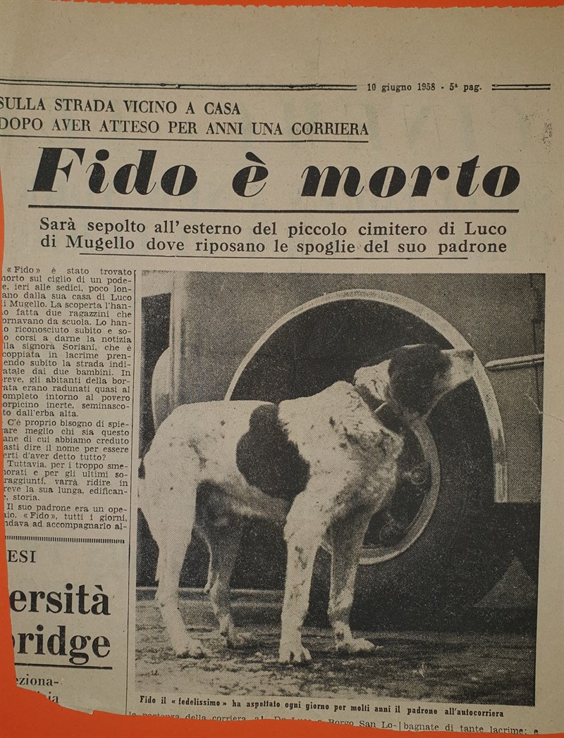 il ritaglio di giornale