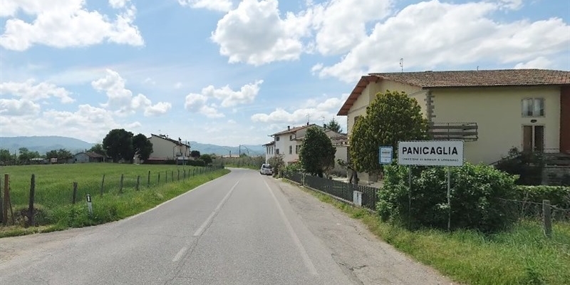 Panicaglia