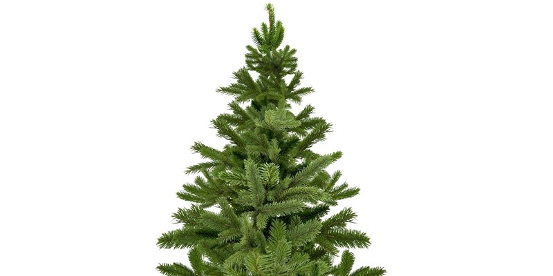 Albero di Natale