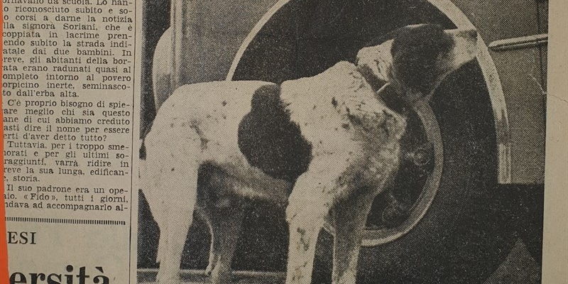 ritaglio di giornale