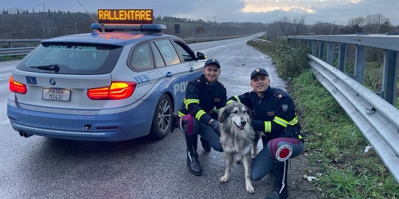 Oscar e i suoi salvatori