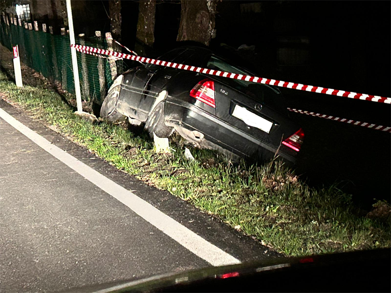 Auto contro albero