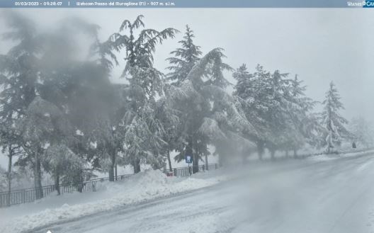 Passo del Muraglione