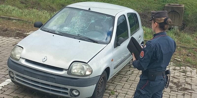 Carabinieri Forestali all'opera