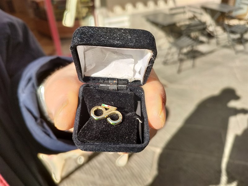 Immagine ravvicinata della spilla della FCI.