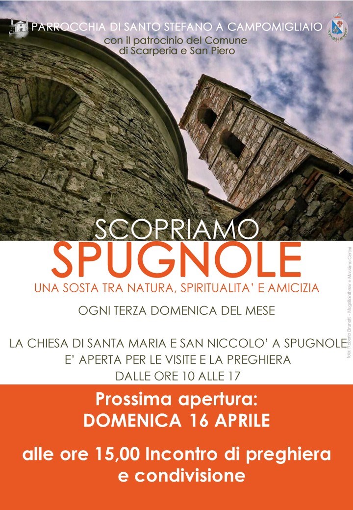 Spugnole