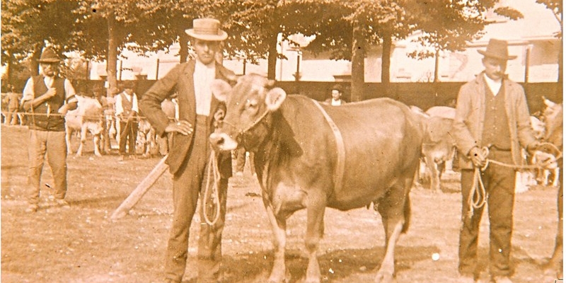 Foto Avv. Giuseppe Ungania 1908.