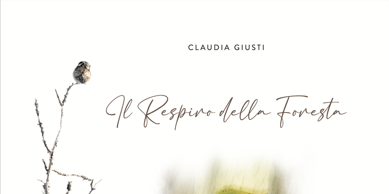 Respiro foresta