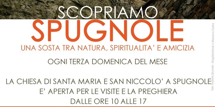 Spugnole