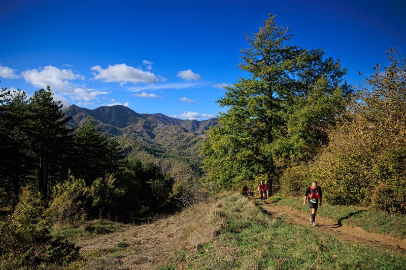 Trail del cinghiale