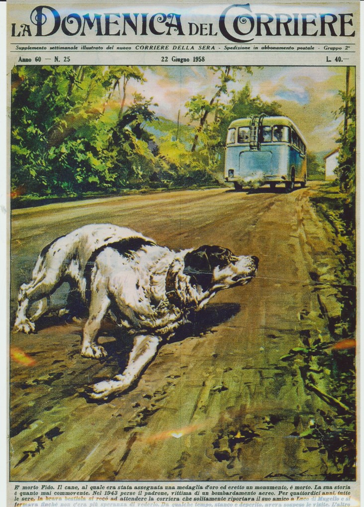 Anno 1958. La copertina che la Domenica del Corriere dedicò a Fido dopo la sua morte.  