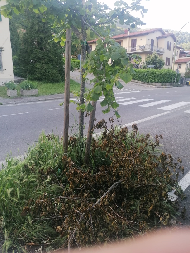 Aa85d7 PHOTO 2023 05 26 20 36