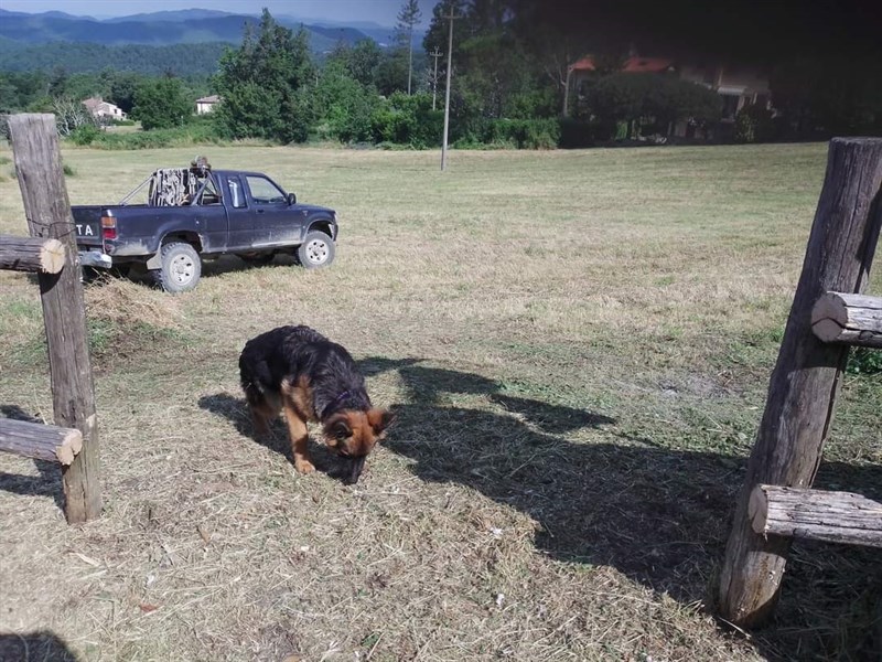 Nuovo accesso al pratone a Bivigliano, ad uso pubblico