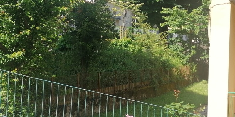 Stradelle laterali coperte dalla macchia verde