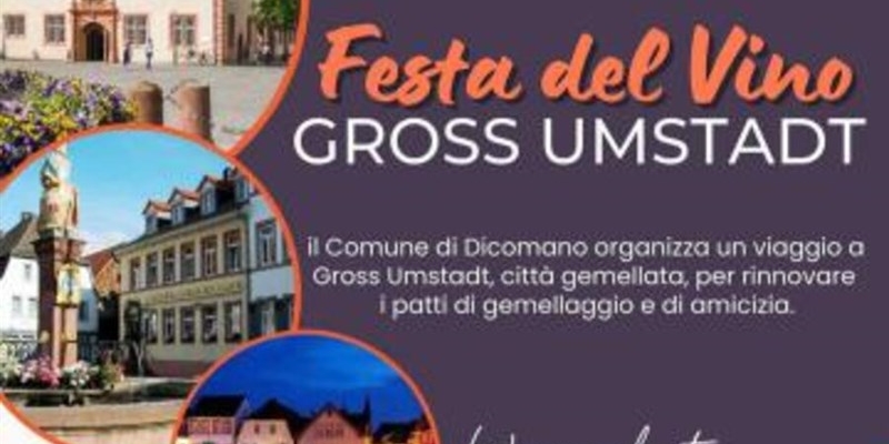 Il manifesto della festa