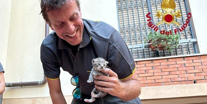 Un momento del salvataggio