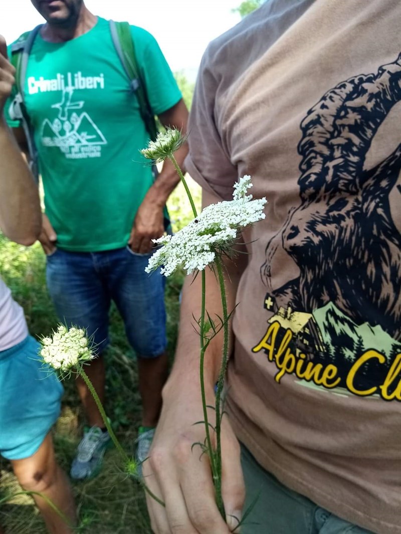 Passeggiata Crinali Mugello