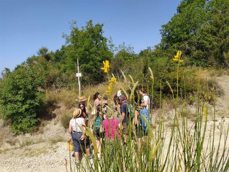 Passeggiata Crinali Mugello