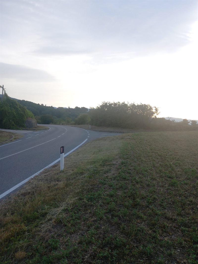 Il bellissimo lavoro dei volontari