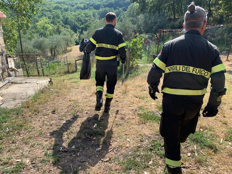 Il lavoro dei Vigili del Fuoco  Il serpente portato in aperta campagna
