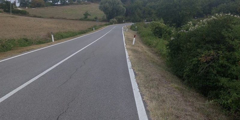 Il bellissimo lavoro dei volontari