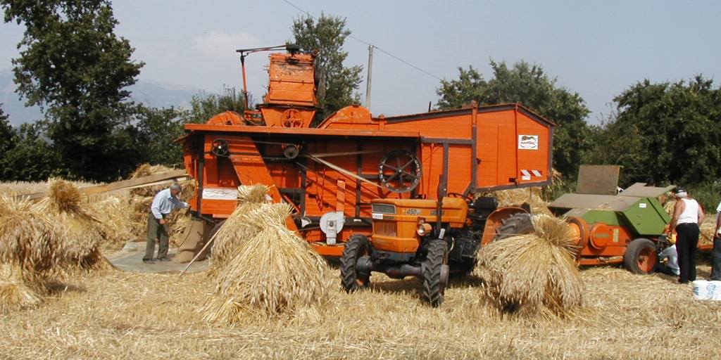 Festa della battitura