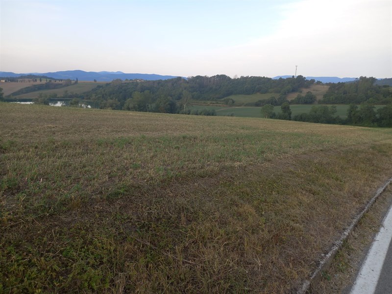 Il bellissimo lavoro dei volontari