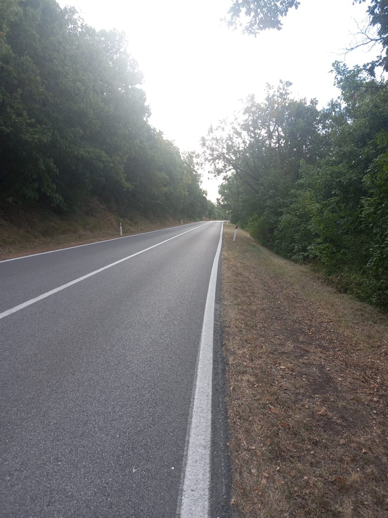 Il bellissimo lavoro dei volontari