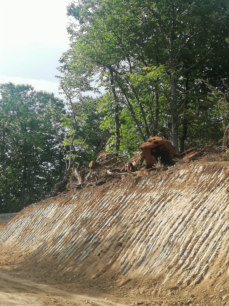 Immagini di repertorio