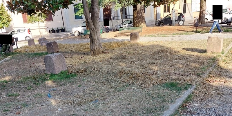 Le foto giardini Vicchio