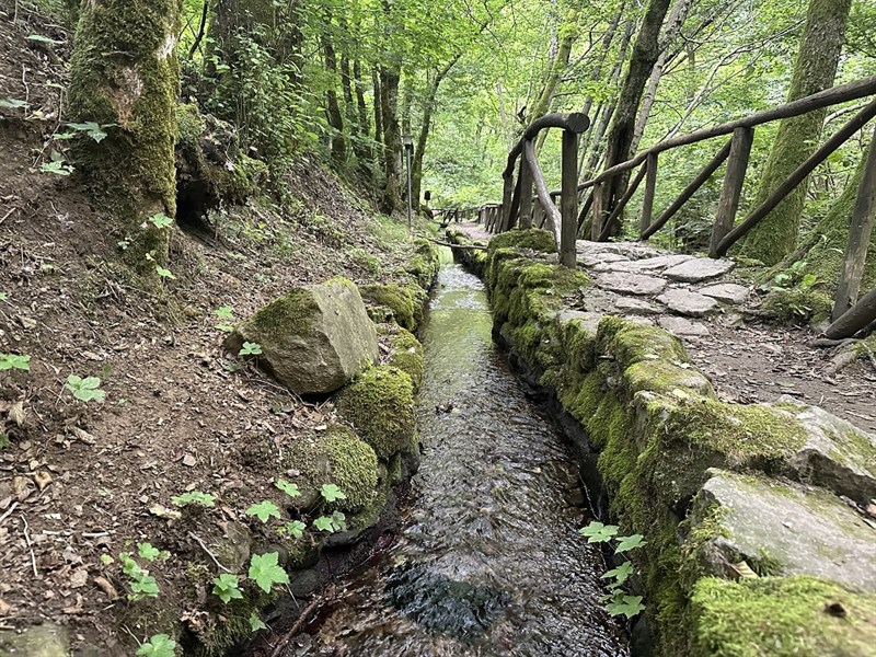 I cammini dell'acqua
