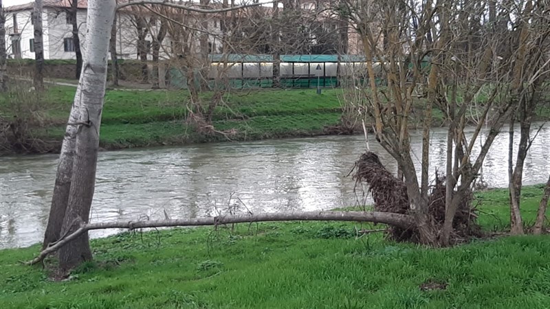 La situazione della Sieve