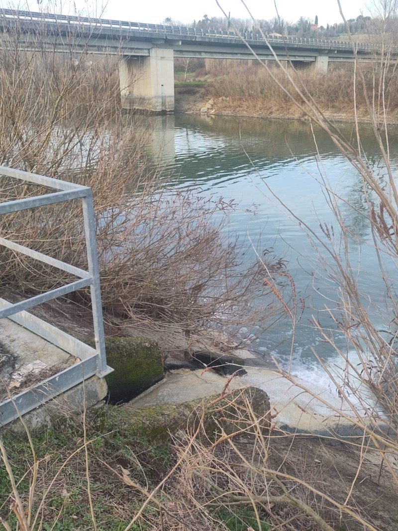 Le immagini inviate dalla lettrice - Lago di bilancino, sversamento fognario - 3