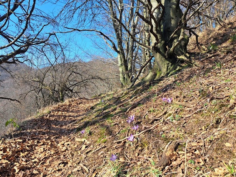 Le foto della giornata