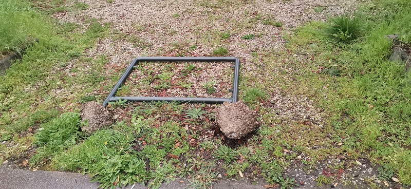 L'incuria dei giardini di fronte alla stazione ferroviaria di Borgo San Lorenzo